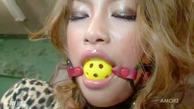 Collared Maria Ozawa Tied Up For Extreme BDSM Pleasure Feast