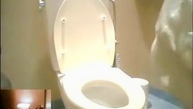 Sexy Japanese Beauty Gets Fucked Hard In The Toilet Stall