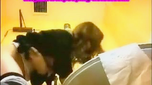 Hot Japanese Lady Gets Fucked Hard In The Toilet