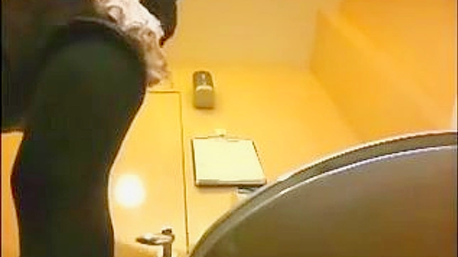 Hot Japanese Lady Gets Fucked Hard In The Toilet