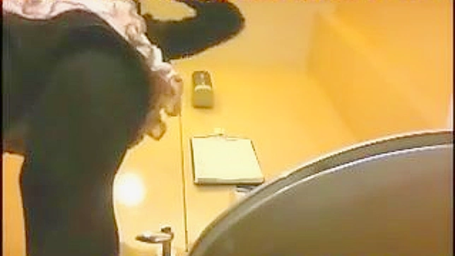 Hot Japanese Lady Gets Fucked Hard In The Toilet