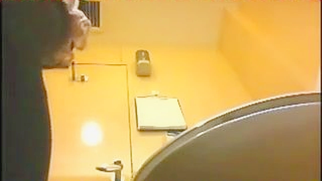 Hot Japanese Lady Gets Fucked Hard In The Toilet