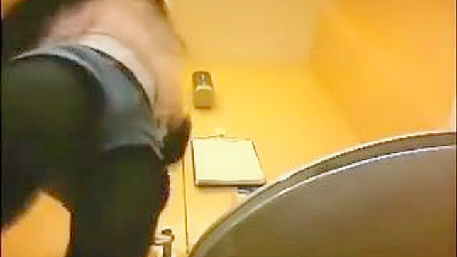 Hot Japanese Lady Gets Fucked Hard In The Toilet