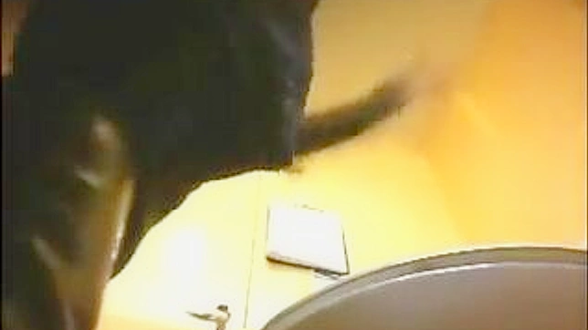 Sexy Japanese Babe Gets Fucked Hard in the Toilet Stall