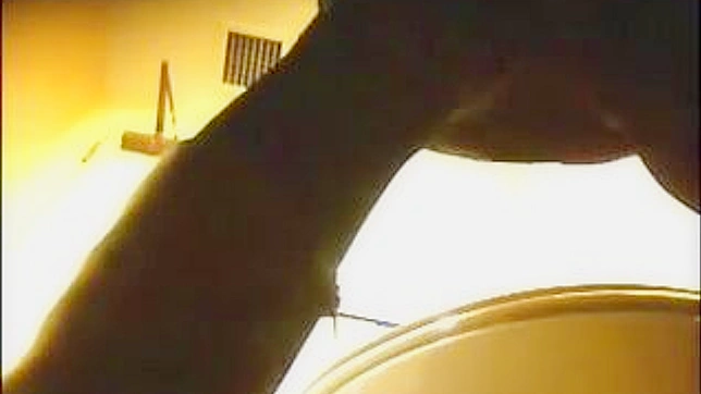 Sexy Japanese Babe Gets Fucked Hard in the Toilet Stall