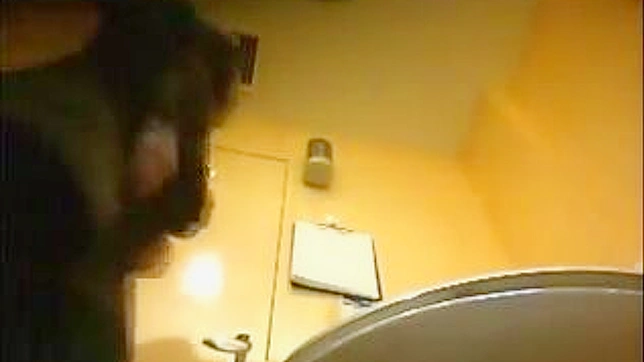 Sexy Japanese Babe Gets Fucked Hard in the Toilet Stall