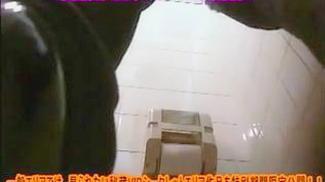 Japanese Babe With Round Ass Gets Fucked In Toilet