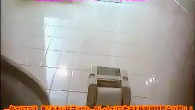 Japanese Babe With Round Ass Gets Fucked In Toilet