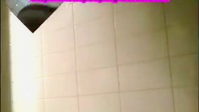 Japanese Babe With Round Ass Gets Fucked In Toilet
