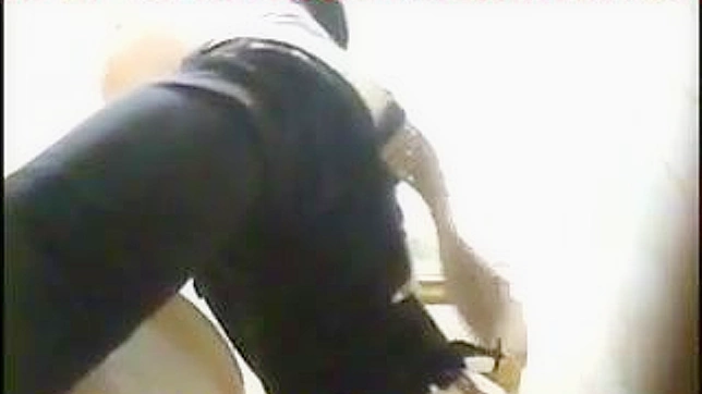 Japanese Babe With Round Ass Gets Fucked In Toilet