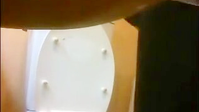Cute Japanese Babe Gets Down & Dirty In Toilet Stall