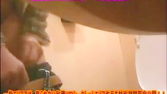 Cute Japanese Babe Gets Down & Dirty In Toilet Stall