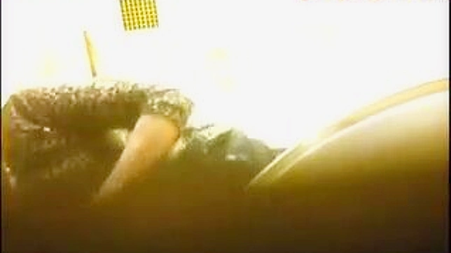 Cute Japanese Babe Gets Down & Dirty In Toilet Stall