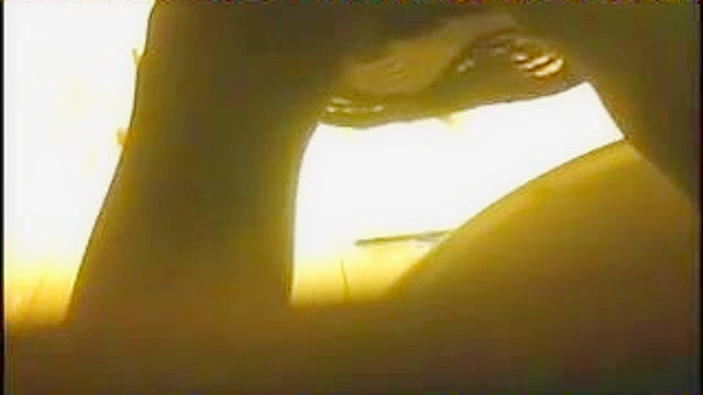 Cute Japanese Babe Gets Down & Dirty In Toilet Stall