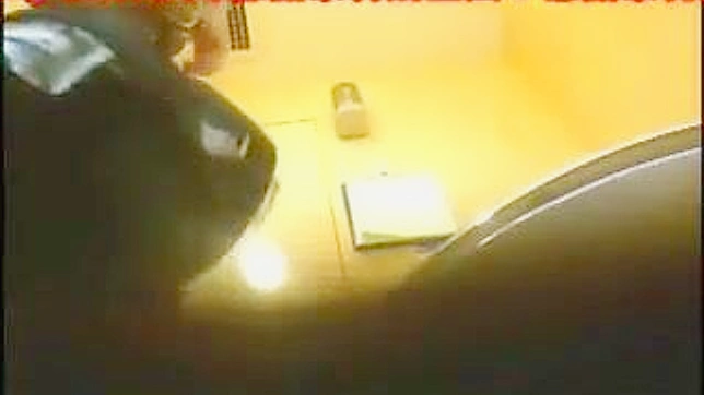 Cute Japanese Babe Gets Down & Dirty In Toilet Stall