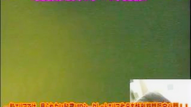 Jeans-clad Japanese Beauty Gets Fucked Publicly