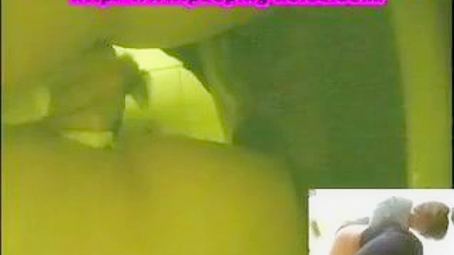 Jeans-clad Japanese Beauty Gets Fucked Publicly