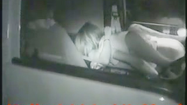 Sexy Asian Minx Enjoys Hardcore Fuck In The Car