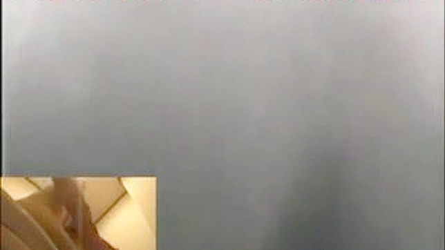 Seductive Asian Beauty Thrilling Herself With Sex Toy Delightfully