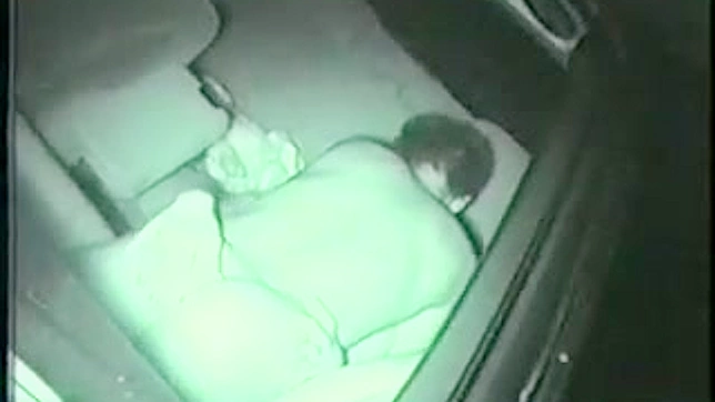 Cute Japanese Babe Gets Sexy Car Ride Fuck Festions