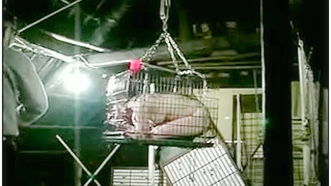 Sexy Nurse Kaede Gets Fucked Hard For Pleasure Rush