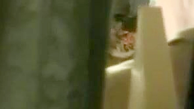 Cute Japanese Girl 18+ Gets Fucked Barely in Toilet Stall