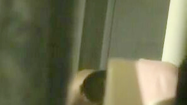 Horny Babe With Hairy Pussy Pleases Him In Toilet Stall