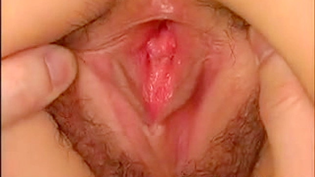 Cute Japanese Babe Begging Her BF To Kiss Big Melons