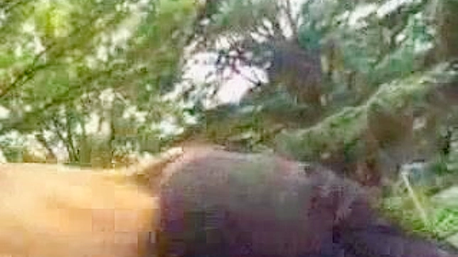 Excited Japanese Lady Sucking Cock Before Getting Fucked Hard