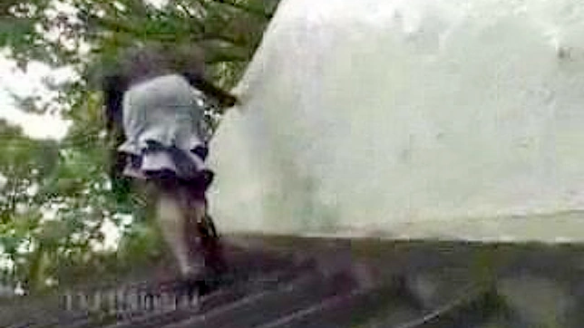 Excited Japanese Lady Sucking Cock Before Getting Fucked Hard