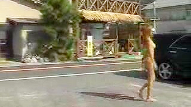 Shameless Japanese Lingerie Babe Frolics Outdoors Seductively