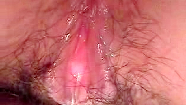 Hairy Pussy Babe Shows Off Her Sexy Love Tunnel