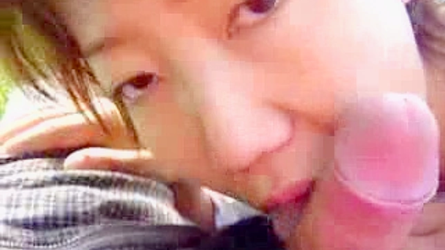 Hot Japanese Temptress Gives Blowjob then Craves More Cock Sex
