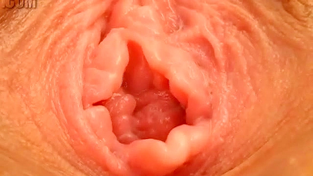 Anri's Shameful Orgy - Wet Pussy Delight Part Three