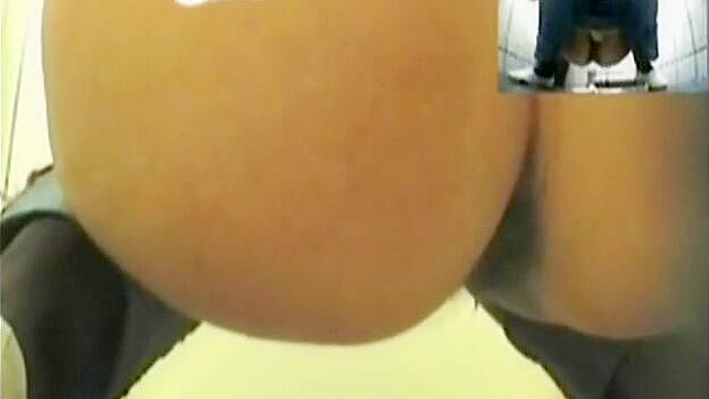 Cute Diva Gets Fucked Hard While In The Toilet Stall