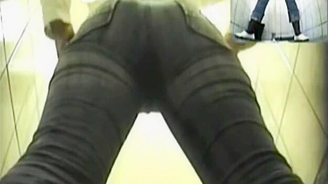 Cute Diva Gets Fucked Hard While In The Toilet Stall