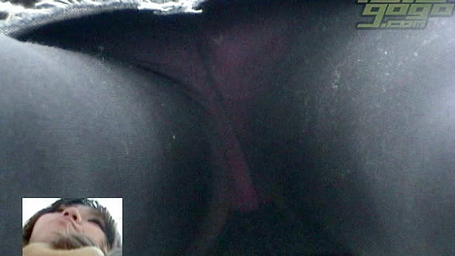 Cute Babe Shows Panties Under Black Stockings for Sex Showdown