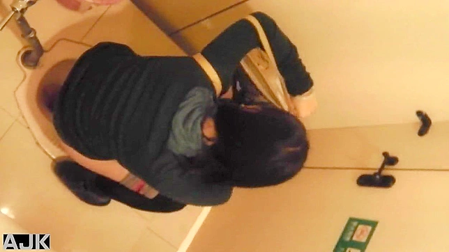 Cute Japanese Doll Gets Fucked Hard In The Restroom