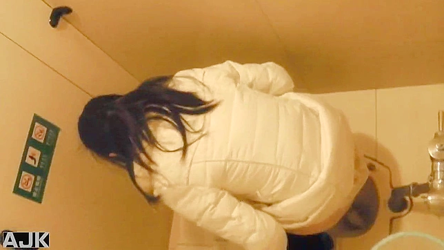 Cute Japanese Doll Gets Fucked Hard In The Restroom