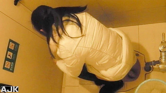 Cute Japanese Doll Gets Fucked Hard In The Restroom