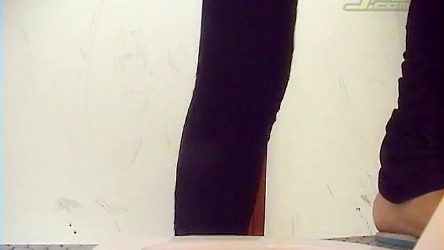 Petite Japanese Model Gets Fucked Sensually in Toilet Stall