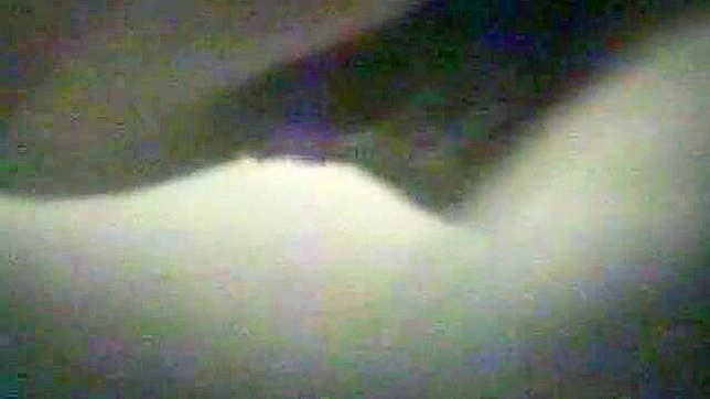 Sultry Japanese Girl 18+ Gets Fucked Roughly In The Toilet