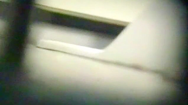 Sultry Japanese Girl 18+ Gets Fucked Roughly In The Toilet