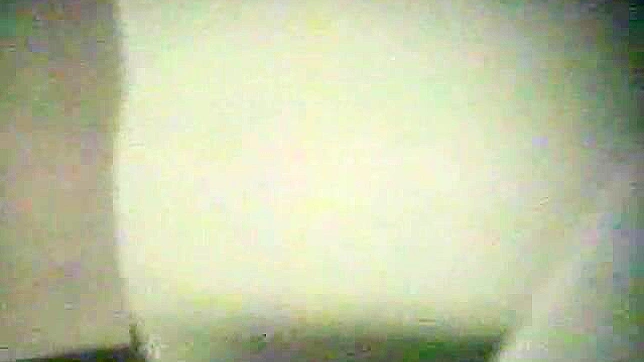 Sultry Japanese Girl 18+ Gets Fucked Roughly In The Toilet