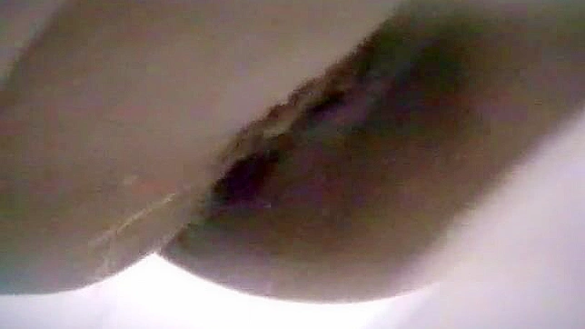 Cute Japanese Girl 18+ Tempts in Toilet with Hot Blowjob Action