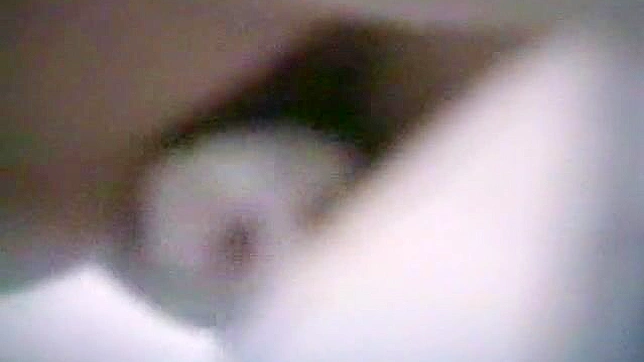 Cute Japanese Girl 18+ Tempts in Toilet with Hot Blowjob Action