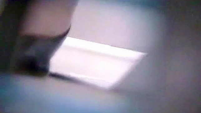 Cute Japanese Girl 18+ Tempts in Toilet with Hot Blowjob Action