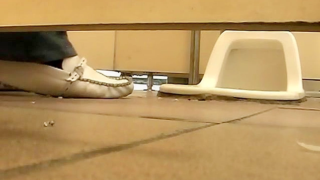 Shameless Japanese Doll Gives Blowjob then Fucks in Toilet