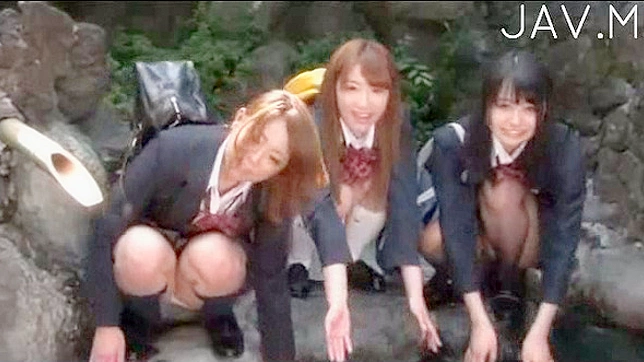 Sweet Asian Babe Gets Pound by Two Monstrous Dicks Hardly