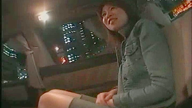 Hot Asian Beauty Gets Cunt Drilled Sensually in Steamy Sex